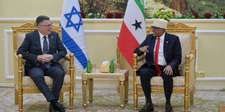 Somalia in 2026: The elephant in the room