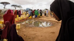 Drying Lands, Rising Conflicts: Climate Change and Pastoral Insecurity in the Horn of Africa