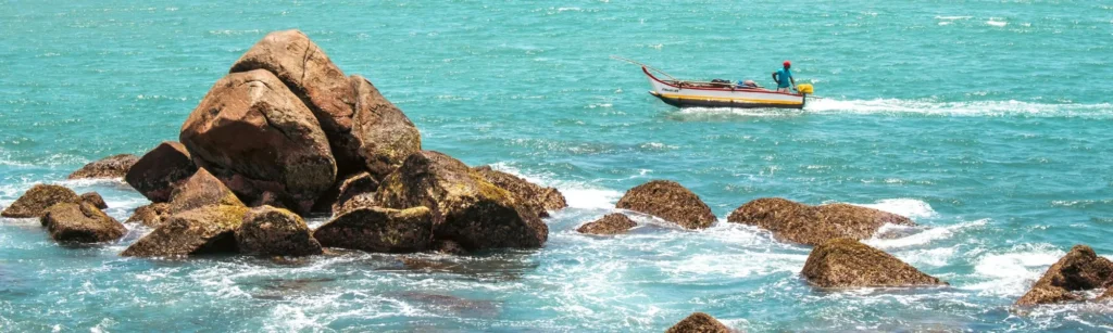 Western Indian Ocean Program